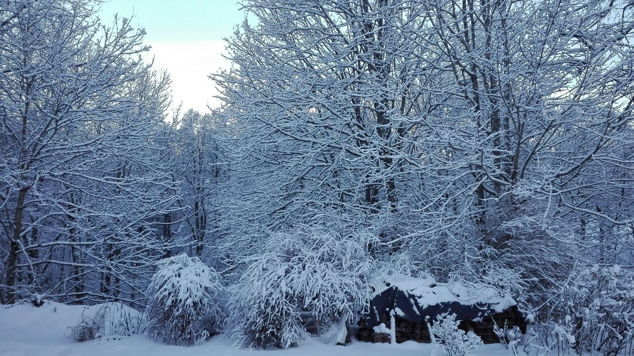 Garten im Winter Garten im Winter